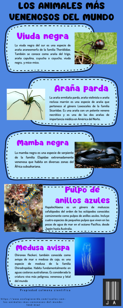 aportacion_2-jesus alfredo becerra montalvo-